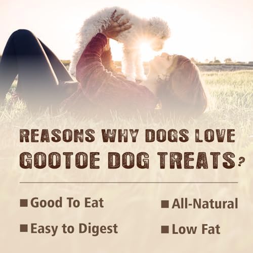 Gootoe Turkey Tendon Dog Treats, Strips 3oz, USA-Sourced Turkey Tendon, Natural Snack, Premium Puppy Chews, Hypoallergenic, Rawhide Free, Reseal Value Bags, Size for Small Dogs