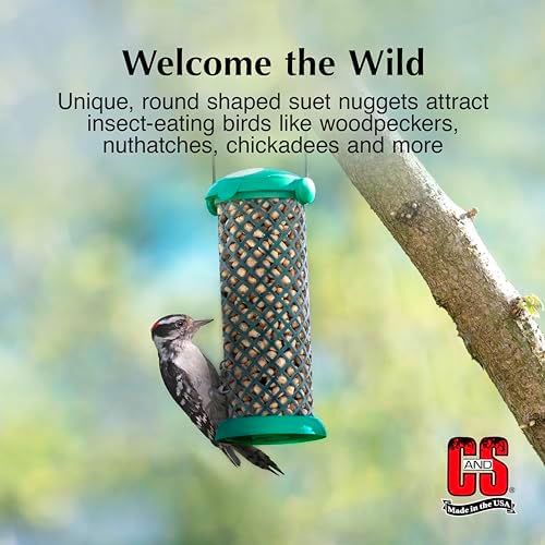 C&S Wild Bird Woodpecker Suet Nuggets Mega Box, 8 Pounds