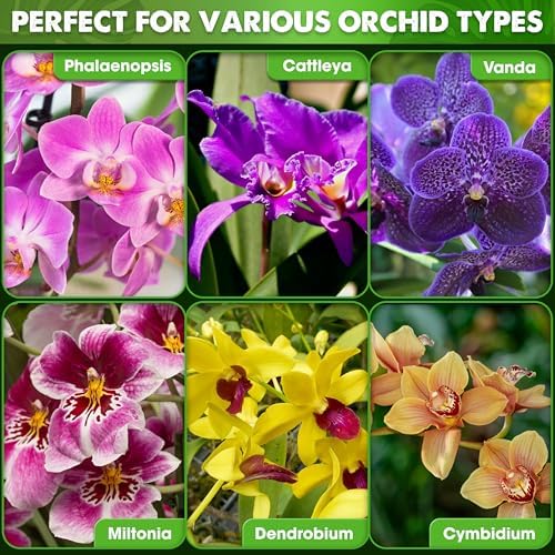 [Upgraded] DUSPRO Orchid Potting Mix for Repotting with Forest Moss, Pine Bark, Perlite & Pumice Natural Ingredients, Orchid Bark Potting Mix, Orchid Repotting Kit Drainage Indoor Potting Medium 2QT