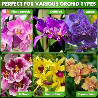 [Upgraded] DUSPRO Orchid Potting Mix for Repotting with Forest Moss, Pine Bark, Perlite & Pumice Natural Ingredients, Orchid Bark Potting Mix, Orchid Repotting Kit Drainage Indoor Potting Medium 2QT