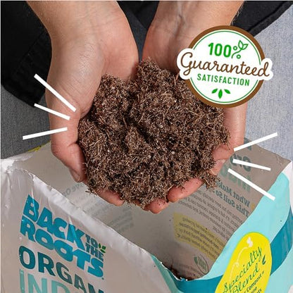 Back to the Roots 100% Organic Indoor Potting Mix (Value 12 Quart) | Promotes Healthy Houseplant Growth| Made in The USA