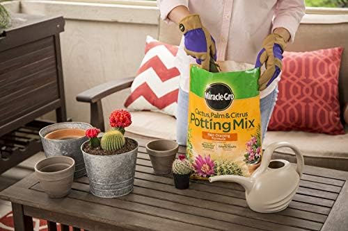 Miracle-Gro Cactus, Palm and Citrus Potting Mix, for Indoor or Outdoor Potted Plants, Great for Succulents, 8 qt., 2-Pack