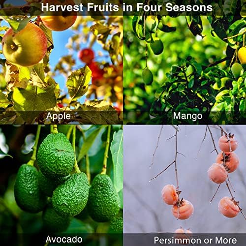 DonSail Fruit Picker Pole Tool with Basket Long Handle, 35-65 Inch Adjustable Apple Orange Picker Pole Tool with Basket for Avocado Acorn Lemon Pear Mango Tree Picker