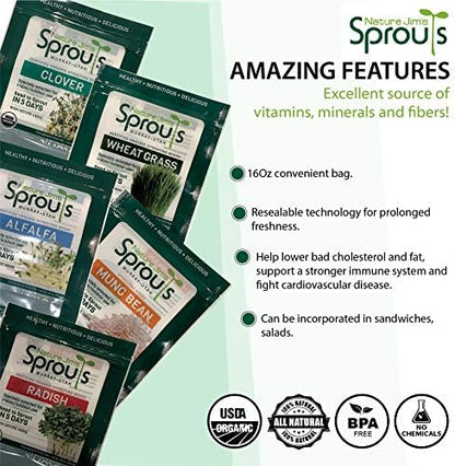 Nature Jims Sprouts Broccoli Sprout Seeds - Certified Organic for Indoor/Outdoor Use - Rich in Sulforaphane Healthy, Nutritious Broccoli Seeds Sprout in 5 Days - 8oz