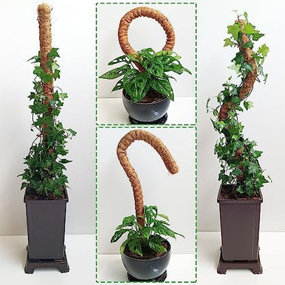 2 Pack Moss Pole, 28 Inch Bendable Moss Pole for Plants Monstera, Moss Poles for Climbing Plants Indoor, Coir Plant Pole Sticks Support Stakes for Potted Plant, Pothos, Philodendron