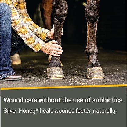 Absorbine Silver Honey Rapid Wound Repair Ointment 2oz Tube, Manuka Honey & MicroSilver BG