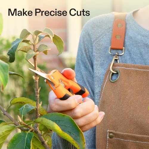VIVOSUN 3-Pack 6.5 Inch Gardening Scissors Hand Pruner Pruning Shear with Straight Stainless Steel Blades Orange