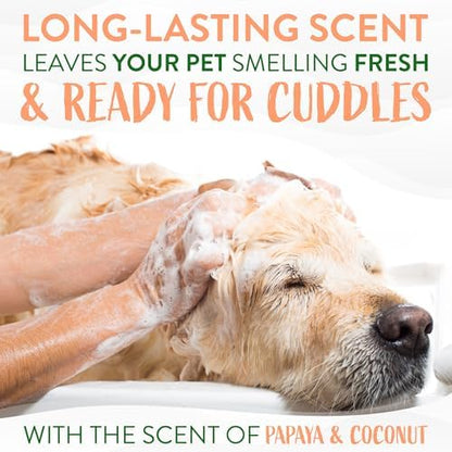 TropiClean 2-in-1 Dog Shampoo and Conditioner, Moisturizing Dog Detangler, Puppy Safe, Made in the USA, Papaya Scent, Cat & Kitten Safe, 20oz.
