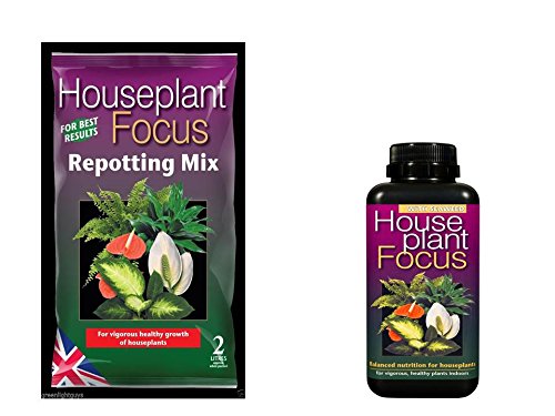 GREENLIGHT GUYS Houseplant Focus Repotting Mix & Feed (2 Litre Bag & 300Ml Feed)