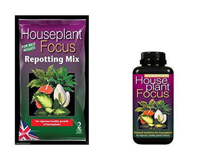 GREENLIGHT GUYS Houseplant Focus Repotting Mix & Feed (2 Litre Bag & 300Ml Feed)