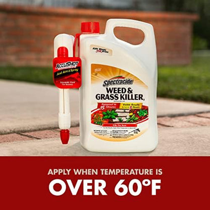 Weed & Grass Killer, AccuShot Spray, 1.33-Gallons