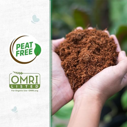 Back to the Roots Organic Coir, 51 Quart Expanding Soil, Great for Seeds and Potting