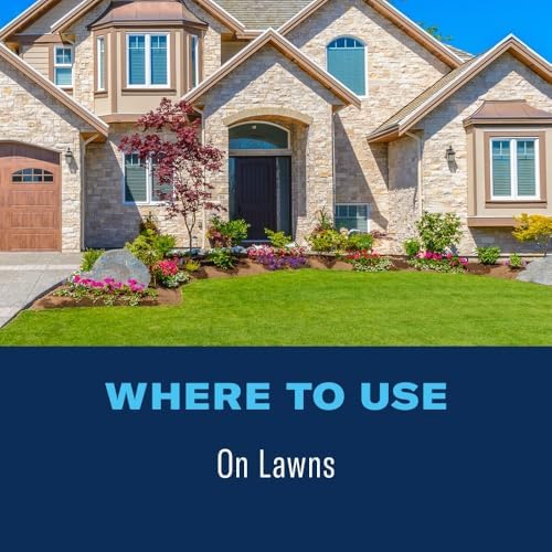BioAdvanced Fungus Control for Lawns, Ready-to-Spray Fungicide for Lawns, 32 oz
