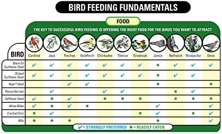 Wagner's 57075 Safflower Seed Wild Bird Food, 5 Pound (Pack of 1)