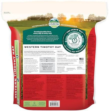 Oxbow Western Timothy Hay for Small Pets – All-Natural Grass Hay for Rabbits, Guinea Pigs, and Chinchillas – High Fiber for Digestive Health and Dental Support – 40 oz Bag