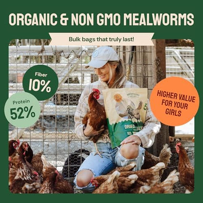 Bulk Dried Mealworms, 10 Lbs – Non-GMO Mealworms for Chicken & Birds - Insect Protein for Poultry Feed - Worms for Chickens, Laying Hens, Quail, Ducks - Bird Seed Alternative