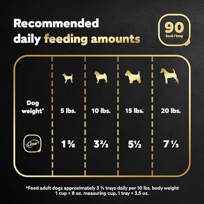 Cesar Wet Dog Food Classic Loaf in Sauce Filet Mignon Flavor, 3.5 oz. Easy Peel Trays (24 Count, Pack of 1)