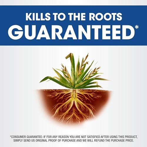 Roundup Weed & Grass Killer₄ Refill, Use in and Around Flower Beds, Trees, Driveways, Walkways & More, 1.25 gal.