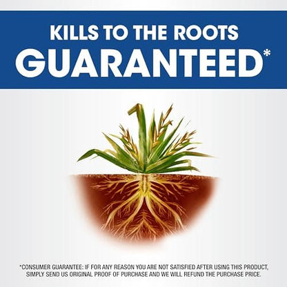 Roundup Weed & Grass Killer₄ Refill, Use in and Around Flower Beds, Trees, Driveways, Walkways & More, 1.25 gal.