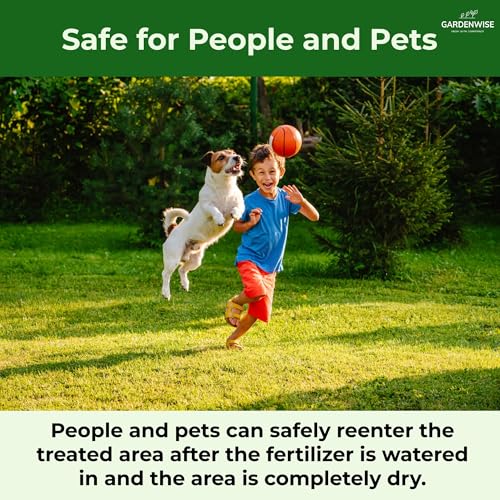 10-10-10 Plant Fertilizer Slow Release - 10 10 10 All Purpose Granular Garden Fertilizer for Vegetables, Tomato, Arborvitae, Shrubs, Rose, Flowers, Fruit, Fig Trees (1/2 Quart)