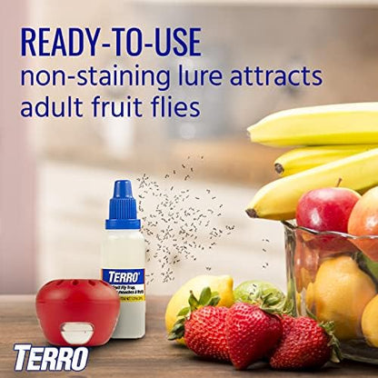 Terro Fruit Fly Traps for Indoors (4 Pack) + 180 Days of Lure Supply