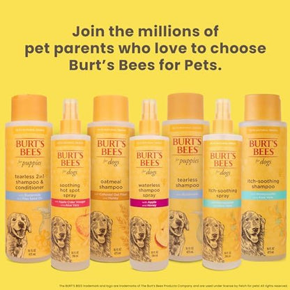 Burt's Bees for Pets Tearless Puppy 2-in-1 Shampoo and Conditioner with Buttermilk and Linseed Oil, 2pk, 95% Natural Origin Formulas, Best Gentle Shampoo for Puppies - Tear Free, 16 oz - 2 Pack