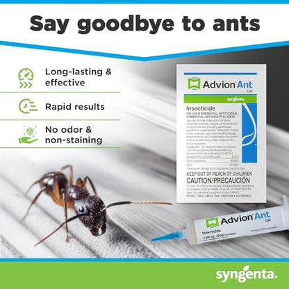 Advion Ant Gel Bait, 1 30-Gram Tube, 1 Plunger and 1 Tip, Effective Bait, Formulated with 0.05% Indoxacarb, Indoor and Outdoor Use, Killer Gel for Control of Most Major Ant Species
