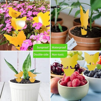 100 Pcs Sticky Trapz for gnat, Yellow Stick Traps for Plants, Fungus gnat Traps Double Side with Shovel, Indoor Safe for Gnat, Fruit Fly, White Fly, Aphid, Leaf Miner