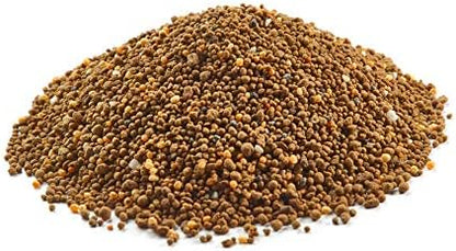 BioAdvanced 12 Month Tree and Shrub Protect and Feed, Granules, 4 lb, Insect Killer and Fertilizer & Plant Food