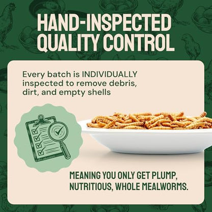 Bulk Dried Mealworms, 10 Lbs – Non-GMO Mealworms for Chicken & Birds - Insect Protein for Poultry Feed - Worms for Chickens, Laying Hens, Quail, Ducks - Bird Seed Alternative
