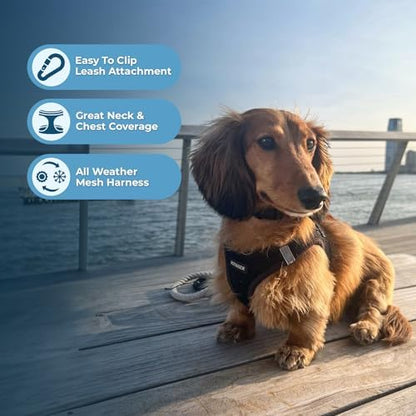 Voyager Step-In Air Dog Harness - All Weather Mesh, Reflective, No Pull Harness for Small, Medium Dogs, Cats - Secure with Hook & Loop Fastener, Buckle, Double D-Rings - Black/Black Trim, XS