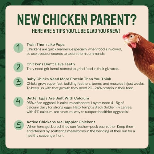 Bulk Dried Mealworms, 10 Lbs – Non-GMO Mealworms for Chicken & Birds - Insect Protein for Poultry Feed - Worms for Chickens, Laying Hens, Quail, Ducks - Bird Seed Alternative