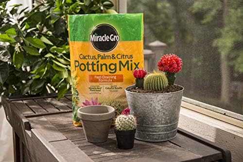Miracle-Gro Cactus, Palm and Citrus Potting Mix, for Indoor or Outdoor Potted Plants, Great for Succulents, 8 qt., 2-Pack