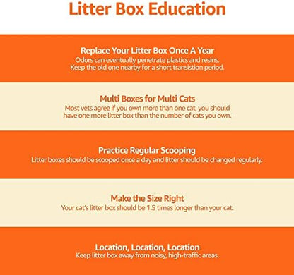 Amazon Basics Large Cat Litter Box with High Sides, Open Top, Includes Scoop, 19 x 15 x 11.75 inches, Grey/Beige