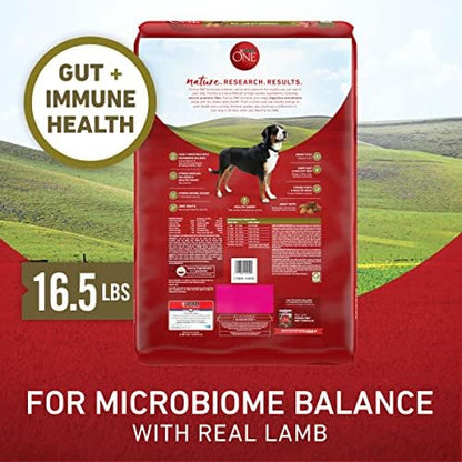 Purina ONE Dry Dog Food Lamb and Rice Formula - 16.5 lb. Bag
