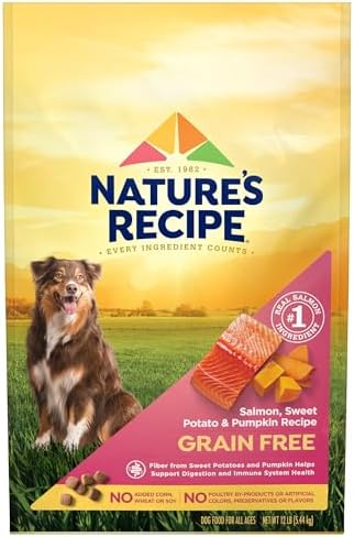Nature's Recipe Grain Free Dry Dog Food, Salmon, Sweet Potato & Pumpkin Recipe, 12 lb. Bag