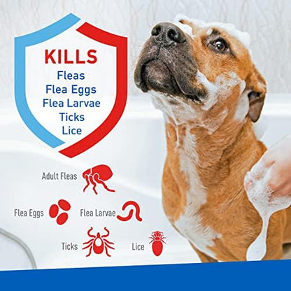 Adams Plus Flea & Tick Shampoo with Precor for Cats, Kittens, Dogs & Puppies Over 12 Weeks Of Age Sensitive Skin Flea Treatment | Kills Adult Fleas, Flea Eggs, Ticks, and Lice| 12 Ounces
