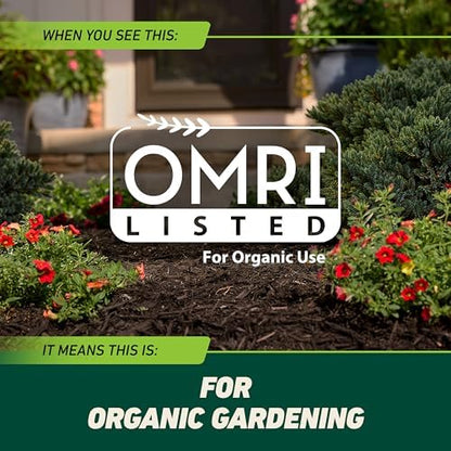 Ortho GroundClear Weed and Grass Killer with Comfort Wand, Kills Dandelions, Chickweed, Crabgrass, Moss and More in Patios and Landscapes, OMRI Listed, 1 gal.