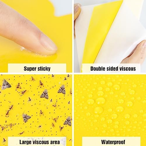 Dwcom 60 Pack Yellow Sticky Traps for Gnats Fruit Fly Traps for Indoors, Fungus Gnat Traps for House Indoor Fly Paper Indoor for Gnats Killer Indoor Trap