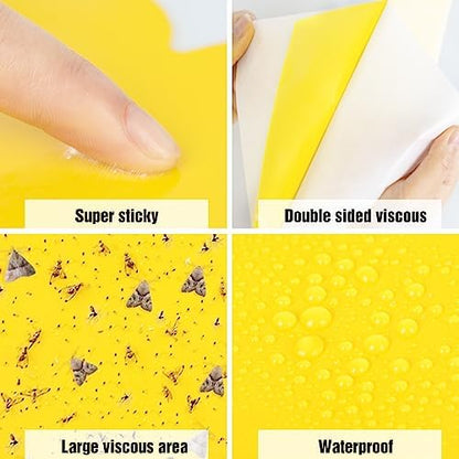 Dwcom 60 Pack Yellow Sticky Traps for Gnats Fruit Fly Traps for Indoors, Fungus Gnat Traps for House Indoor Fly Paper Indoor for Gnats Killer Indoor Trap