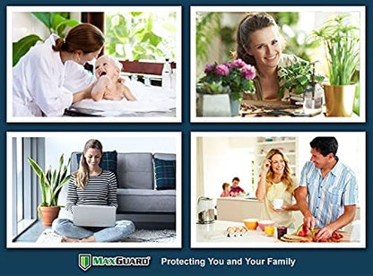 MaxGuard Spider + Insect Traps (12 pcs Box Trap) | Non-Toxic Extra Sticky Glue Traps, Kill Black Widow Hobo Brown Recluse Spiders and Other Crawling Bugs & Insects |