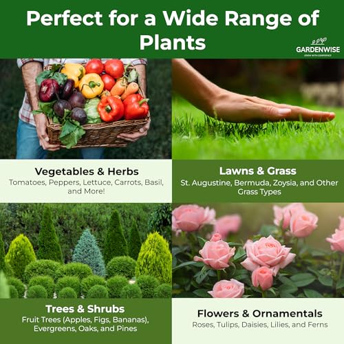 10-10-10 Plant Fertilizer Slow Release - 10 10 10 All Purpose Granular Garden Fertilizer for Vegetables, Tomato, Arborvitae, Shrubs, Rose, Flowers, Fruit, Fig Trees (1/2 Quart)