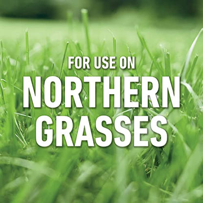 Roundup for Lawns₁ Ready-to-Use with Extend Wand, Tough Weed Killer for Use on Northern Grasses, 1.33 gal.