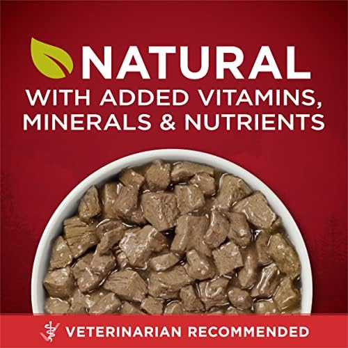 Purina ONE High Protein Wet Dog Food True Instinct Tender Cuts in Dog Food Gravy With Real Beef and Wild-Caught Salmon - (Pack of 12) 13 oz. Cans