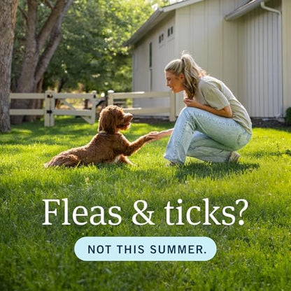 PetArmor Plus Flea and Tick Prevention for Dogs, Dog Flea and Tick Treatment, 6 Doses, Waterproof Topical, Fast Acting, Large Dogs Dogs (45-88 lbs)
