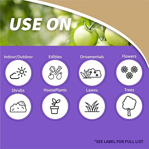 Bonide Captain Jack Copper Fungicide 16 oz Concentrated Plant Disease Control Solution for Organic Gardening