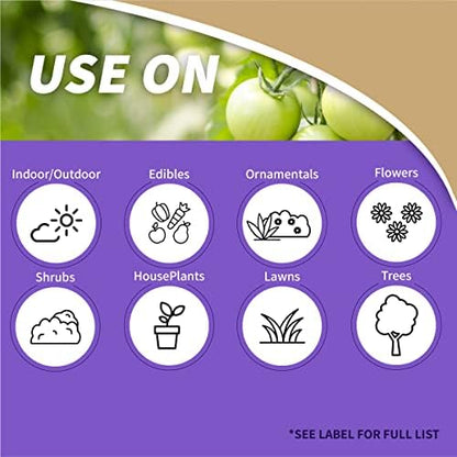 Bonide Captain Jack Copper Fungicide 16 oz Concentrated Plant Disease Control Solution for Organic Gardening