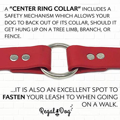 Regal Dog Products Small Red with Custom Engraved Waterproof Dog Collar and Leash Set | Waterproof Dog Collar with D Ring | Center Ring & 5'ft Leash | Matching Dog Collar and Leash for Dogs