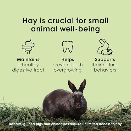 Kaytee All Natural Timothy Hay for Guinea Pigs, Rabbits & Other Small Animals, 12 Pound