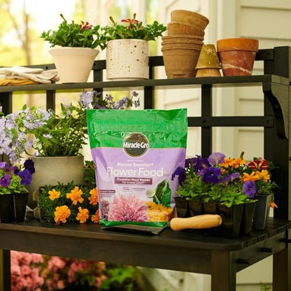 Miracle-Gro Water Soluble Bloom Booster Flower Food, Plant Food for Annual and Perennial Flowers, In-Ground and Container Plants, Roses, Hydrangeas, Hibiscus, 5.5 lb.